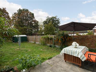 Picture 20
